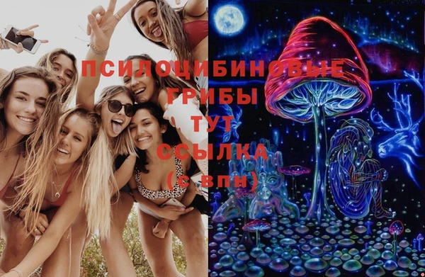 скорость Белокуриха