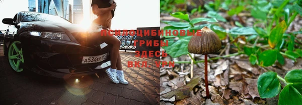 мяу мяу мука Тихвин
