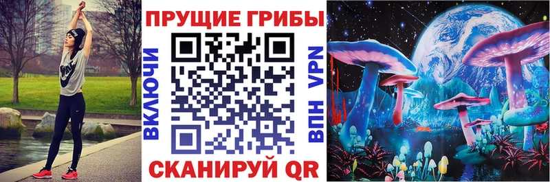 Галлюциногенные грибы Cubensis Нестеров